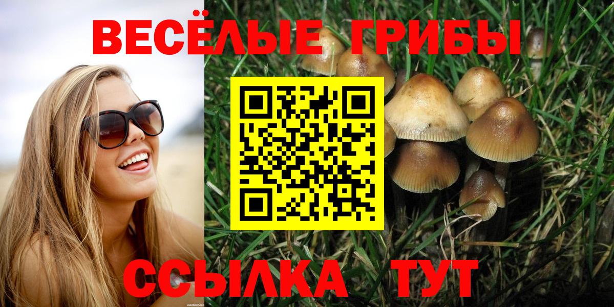 Псилоцибиновые грибы мицелий Звенигород